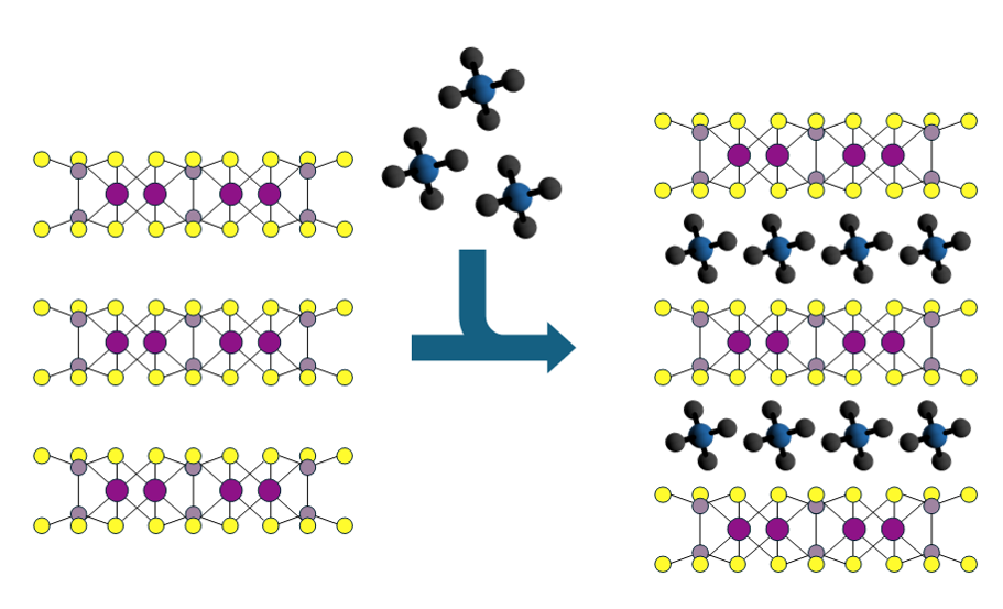 intercalation image