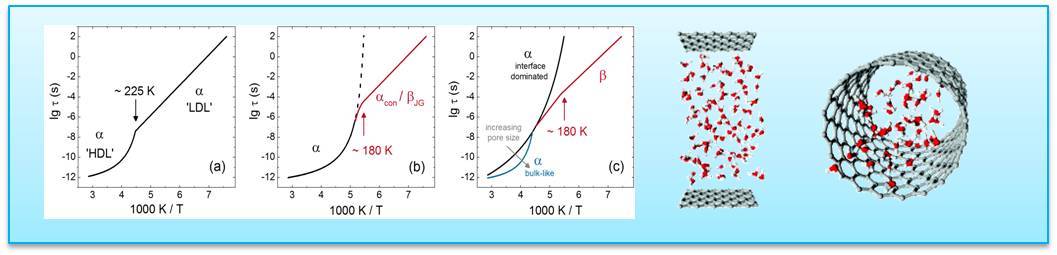highlight_14_selected_review