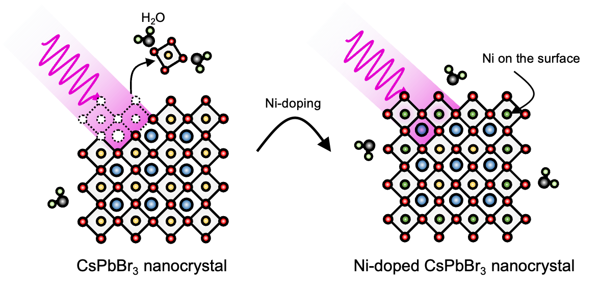 Doped Perovskite Quantum Dots as a Single-Photon Sources with Enhanced ...