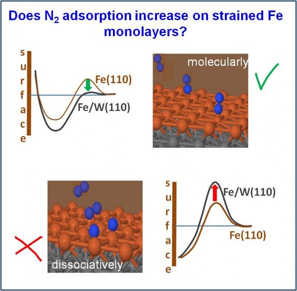 SURFACE STRAIN IMPROVES MOLECULAR ADSORPTION BUT HAMPERS DISSOCIATION